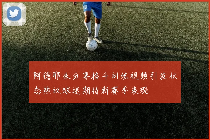 阿德耶米分享格斗训练视频引发状态热议球迷期待新赛季表现