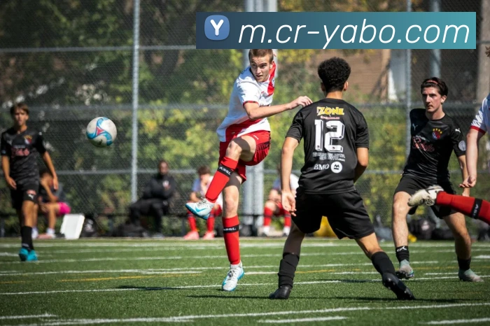 亚博足球平台生态图