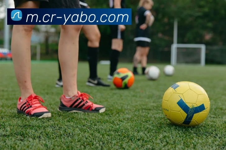 亚博足球APP 封面图